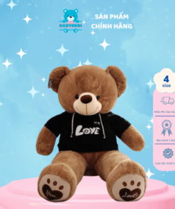 Gấu bông Teddy áo hoodie