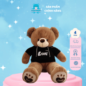 Gấu bông Teddy áo hoodie